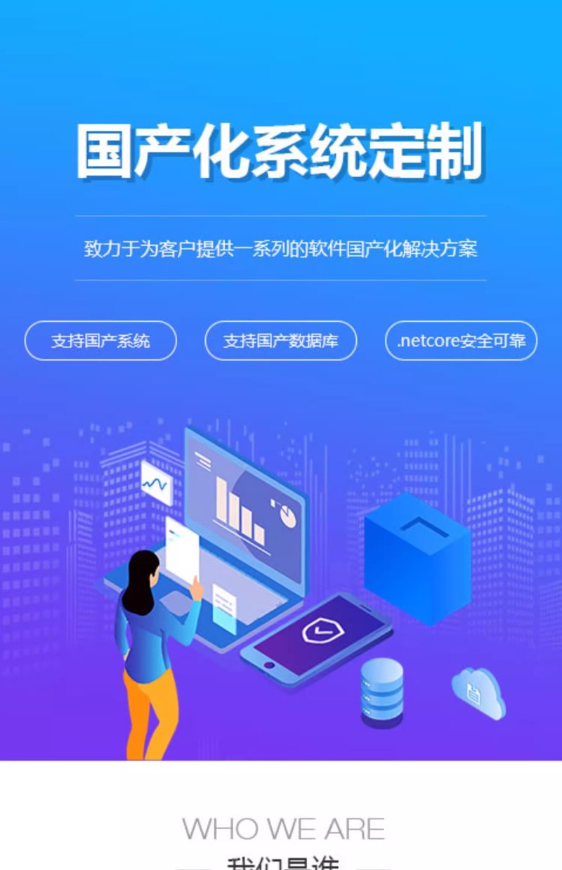 怎样通过定制管理软件提升企业效率
